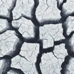 a person standing in the middle of a cracked road